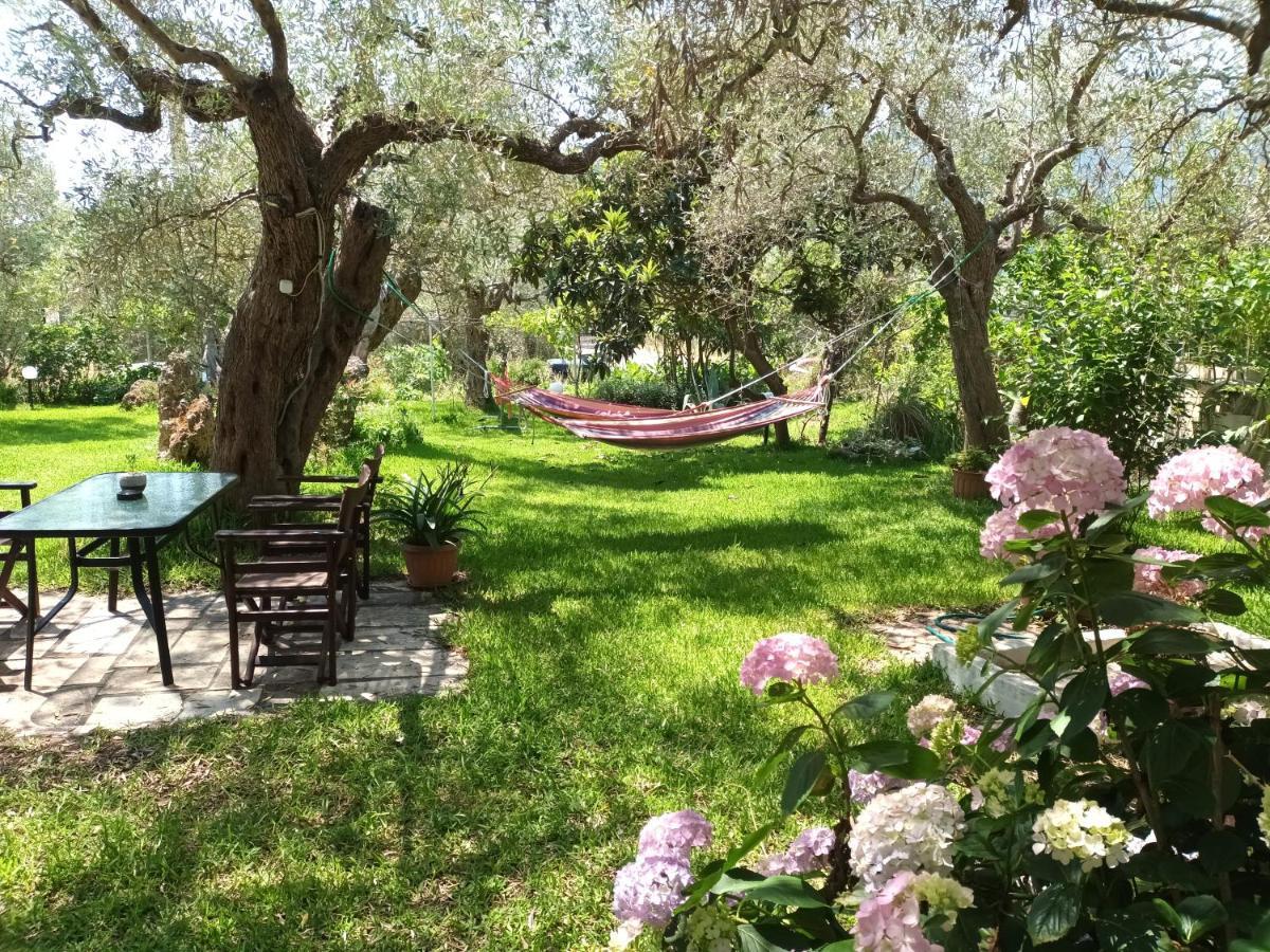 כריסי אמודיה Olive Garden Villas And Apartments חדר תמונה