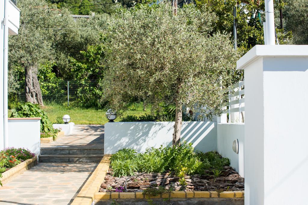 כריסי אמודיה Olive Garden Villas And Apartments מראה חיצוני תמונה